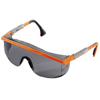 LUNETTE PROTECTION TEINTEE 