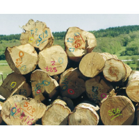  AERO FOREST MARKER BLANC FLUO 