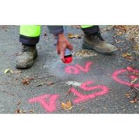  AEROSOL FLUO TP ROUGE 12 MOIS 
