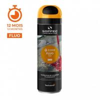  AEROSOL FLUO TP ORANGE 12 MOIS 