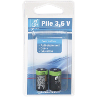  PILE 3.6V BLI 623.902 