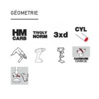  MECHE CHARNIERE D10 