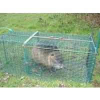  PIEGE FAUVE TRAP 1 ENTREE 