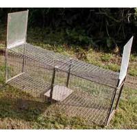  PIEGE FAUVE TRAP 1 ENTREE 