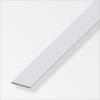  PLAT 20 X 5MM ALU ARGENT 1M 
