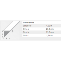  CORNIERE 25X25 ALU ARGENT 1M 