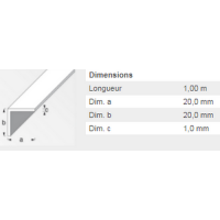  CORNIERE 20X20 PVC NOIR 1M 