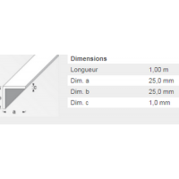  CORNIERE 25X25 PVC BLANC 1M 