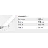  CORNIERE 40X10X2 PVC BLANC 1M 
