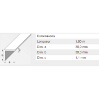  CORNIERE 30X30 PVC BLANC 1M 