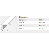  CORNIERE 40X40 PVC BLANC 1M 