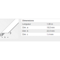  CORNIERE 19X22X1,4 PVC CH 1M 