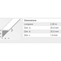  CORNIERE 25X25 PVC BLANC2M 