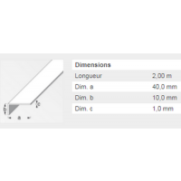  CORNIERE 40X10X1 PVC BLANC2M 