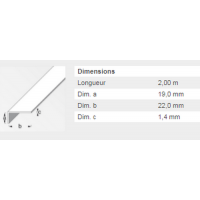  CORNIERE 19X22X1,4 PVC CH 2M 