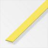  PLAT 7X2,5 MM LAITON MASSIF 1M 