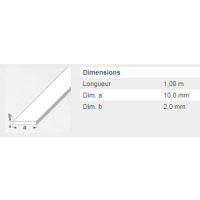  PLAT 10X2MM LAITON MASSIF 1M 