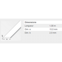  PLAT 15X2MM LAITON MASSIF 1M 