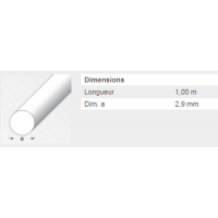  RONDPLEIN 2,9MM LAIT MASSIF 1M 