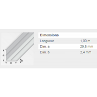  CORNIERE 29,5X2,4MM PVC BLC 1M 
