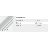  CORNIERE 23,5X1,5 PVC BLC 2,5M 