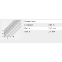  CORNIERE 29,5X2,4 PVC BLC 2,5M 
