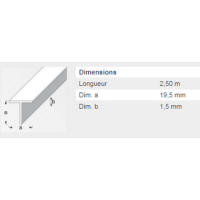  T CARRE 19,5X1,5MM PVC 2,5M 