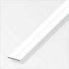  PLAT 23,5X2MM ALU BLANC 1M 