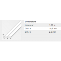  PLAT 19,5X2MM PVC BLANC 1M 