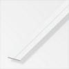  PLAT 23,5X2MM PVC BLANC 1M 