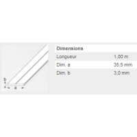  PLAT 35,5X3MM PVC BLANC 1M 
