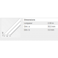  PLAT 35.5X3MM PVC BLC 2M50 