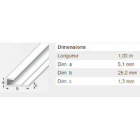  CIMAISE CADRE 5MM INT ALUBL 1M 