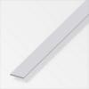  PLAT 25X1,5 INOX BRUT 1M 