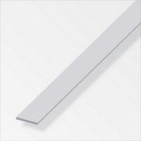  PLAT 25X1,5 INOX BRUT 1M 