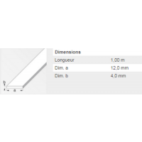  PLAT 12X4 ACIER LAMINE 1M 