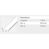  PLAT 20X4 ACIER LAMINE 1M 