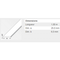  PLAT 25X6 ACIER LAMINE 1M 
