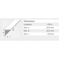  CORNIERE 25X25X1,5 ACIER PAF1M 
