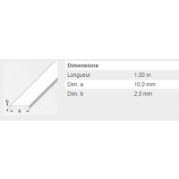  PLAT 10X2MM ACIER ETIRE 1M 