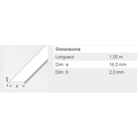  PLAT 16X2MM ACIER ETIRE 1M 