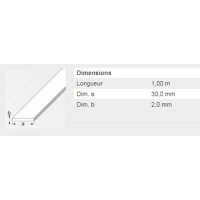  PLAT 30X2MM ACIER ETIRE 1M 