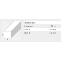  CARRE 5X5MM ACIER ETIRE 1M 