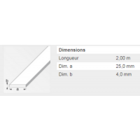  PLAT 25X4MM ACIER LAMINE 2M 