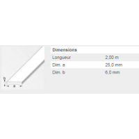  PLAT 25X6MM ACIER LAMINE 2M 