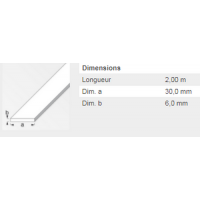  PLAT 30X6MM ACIER LAMINE 2M 