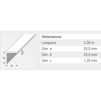  CORNIERE 25X25X1,25 ACIER PAF2 