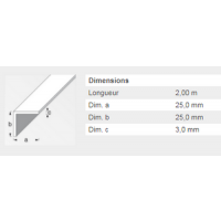  CORNIERE 25X25X3ACIERLAMINE 2M 