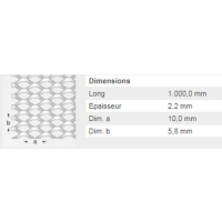  METAL DEPLOYE 10ACIER 12X100FM 