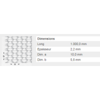  METAL DEPLOYE 10ACIER 60X100FM 
